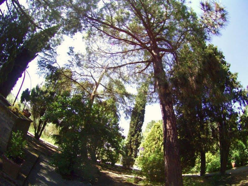 Val di Pugna Casa Cecchi B&B 외부 사진